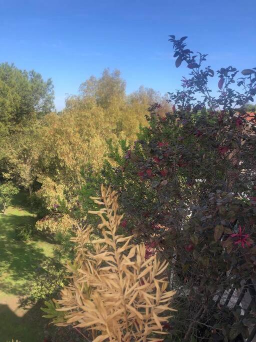 Vila Casa Incantevole Con Vista Parco Appia Antica Řím Exteriér fotografie