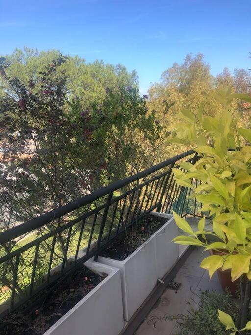 Vila Casa Incantevole Con Vista Parco Appia Antica Řím Exteriér fotografie
